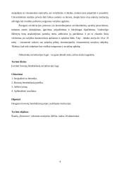 Tyrimas: abiturientų socializacija 4 puslapis