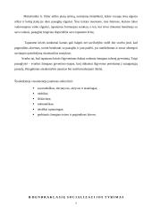 Tyrimas: abiturientų socializacija 7 puslapis