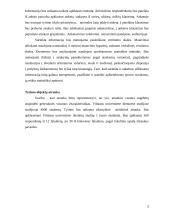 Tyrimas: apsisprendimas studijuoti Vilniaus universitete 3 puslapis