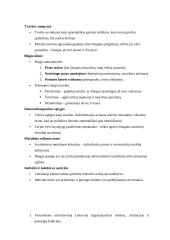 Medijų etikos konspektas 3 puslapis