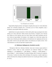 Tyrimo objektas: pradinių klasių mokinių savęs vertinimas 6 puslapis