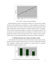 Tyrimo objektas: pradinių klasių mokinių savęs vertinimas 7 puslapis