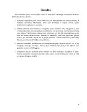 Tyrimo objektas: pradinių klasių mokinių savęs vertinimas 9 puslapis