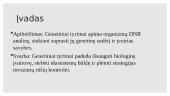 Genetinių tyrimų panaudojimas aplinkosaugoje 2 puslapis