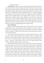 Vieno mėnesio studentų išlaidų ir pajamų biudžeto tyrimas: KTU socialinio mokslo fakulteto studentai 2 puslapis