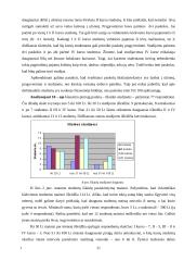 Vieno mėnesio studentų išlaidų ir pajamų biudžeto tyrimas: KTU socialinio mokslo fakulteto studentai 17 puslapis