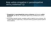 Periferinė nervų sistema (skaidrės) 7 puslapis