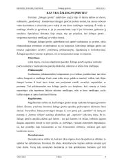 Jaunimo žalingi įpročiai 4 puslapis