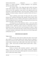 Jaunimo žalingi įpročiai 5 puslapis