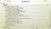 Su darbu susijusios ligos 2 puslapis