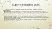 Su darbu susijusios ligos 12 puslapis