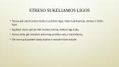 Su darbu susijusios ligos 14 puslapis