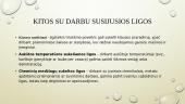Su darbu susijusios ligos 20 puslapis
