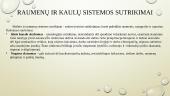 Su darbu susijusios ligos 10 puslapis