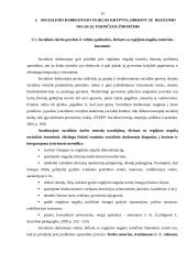 Socialinio darbuotojo veikla su regėjimo negalią turinčiais žmonėmis 12 puslapis