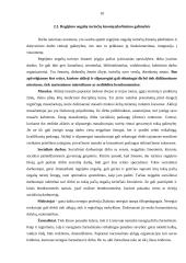 Socialinio darbuotojo veikla su regėjimo negalią turinčiais žmonėmis 9 puslapis