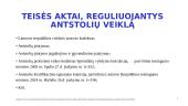 Antstolių veiklos reglamentavimas 14 puslapis