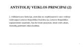 Antstolių veiklos reglamentavimas 4 puslapis