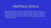 Antstolių veiklos reglamentavimas 5 puslapis