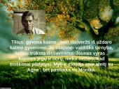 Skaidrės. Marius Katiliškis 11 puslapis