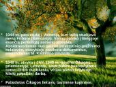 Skaidrės. Marius Katiliškis 4 puslapis