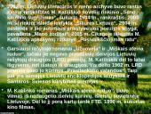 Skaidrės. Marius Katiliškis 6 puslapis