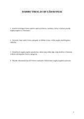 Skirtingų šviesos spektro spalvų poveikis augalų augimui ir vystimuisi 4 puslapis