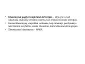 Asmenybės įvertinimas 13 puslapis