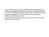 Asmenybės įvertinimas 9 puslapis