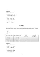 Finansų ir pelno uždaviniai 3 puslapis