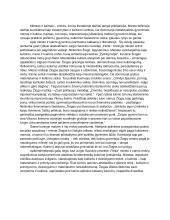 Miesto ir kaimo erdvių sugretinimas