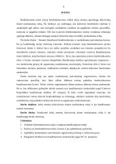 Kelių asmenų dalyvavimas darant nusikalstamą veiką ir jos baudžiamasis teisinis vertinimas 2 puslapis