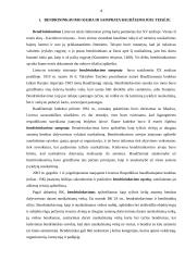 Kelių asmenų dalyvavimas darant nusikalstamą veiką ir jos baudžiamasis teisinis vertinimas 3 puslapis