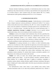 Kelių asmenų dalyvavimas darant nusikalstamą veiką ir jos baudžiamasis teisinis vertinimas 5 puslapis