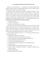 Teisėsaugos institucijų atliekamas ikiteisminis tyrimas 12 puslapis