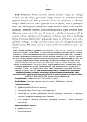 Pasirinkto socialinio reiškinio temos ir tyrimo metodologijos pagrindimas: prekyba žmonėmis XXI amžiaus Lietuvoje 2 puslapis