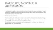 Darbdavių ir darbuotojų mokymas, atestavimas ir instruktavimas (instruktažai) 11 puslapis