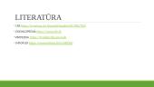 Darbdavių ir darbuotojų mokymas, atestavimas ir instruktavimas (instruktažai) 13 puslapis