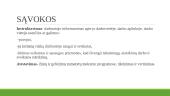 Darbdavių ir darbuotojų mokymas, atestavimas ir instruktavimas (instruktažai) 3 puslapis