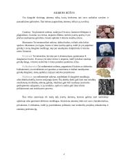 Akmens panaudojimas statybose 3 puslapis