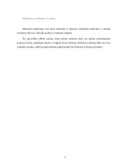 Akmens panaudojimas statybose 5 puslapis