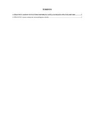 Kainos nustatymas orientuojantis į sąnaudas 2 puslapis