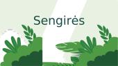 Sengirės