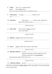 Paciento, sergančio glomerulonefritu, slaugymo istorija 4 puslapis