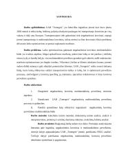 Negabaritinių multimodalinių pervežimų procesai