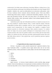 Negabaritinių multimodalinių pervežimų procesai 12 puslapis