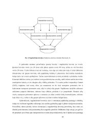 Negabaritinių multimodalinių pervežimų procesai 15 puslapis