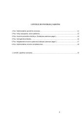 Negabaritinių multimodalinių pervežimų procesai 5 puslapis