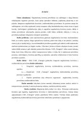 Negabaritinių multimodalinių pervežimų procesai 6 puslapis