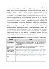 Negabaritinių multimodalinių pervežimų procesai 8 puslapis